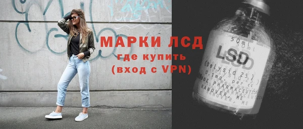 индика Володарск
