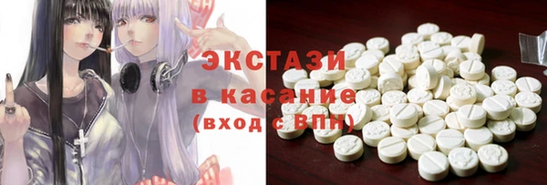 индика Володарск