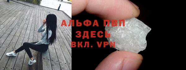 индика Володарск
