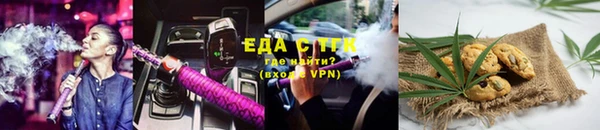 индика Володарск