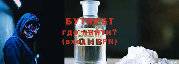 индика Володарск