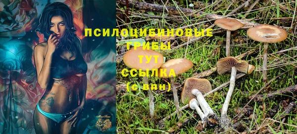 герыч Вяземский