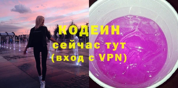 индика Володарск
