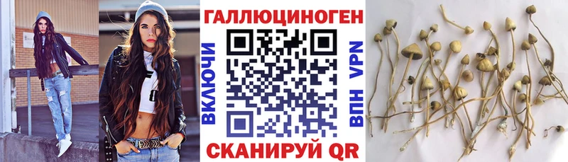 Псилоцибиновые грибы мухоморы  где продают наркотики  Тверь 